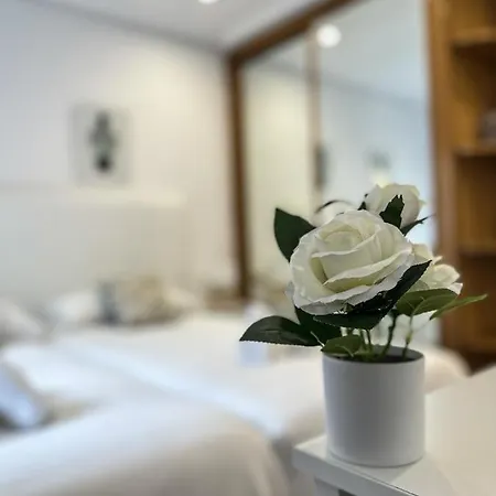 Olas De Ondarreta - Local Rentss Сан-Себастьян